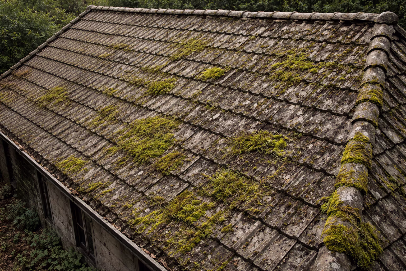Aging roof with moss growth and visible maintenance neglect